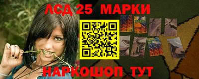 Альфа ПВП Аргун