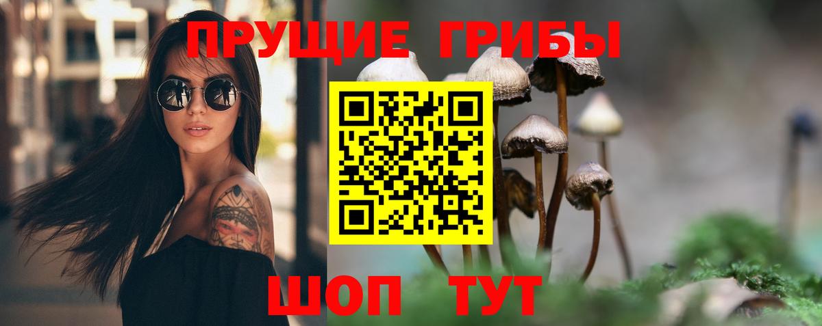 Артёмовский  Псилоцибиновые грибы Psilocybine cubensis  Псилоцибиновые грибы MAGIC MUSHROOMS  Вход с VPN 